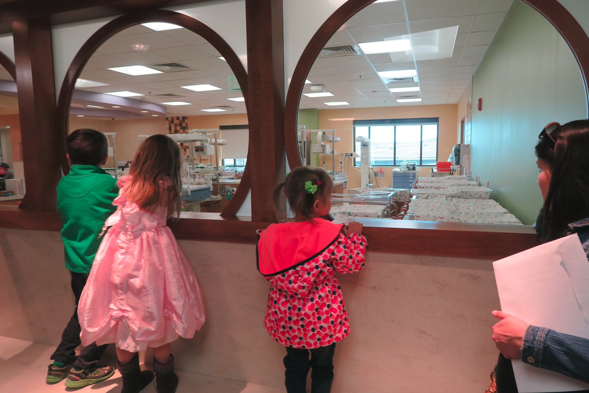 Дети смотрят сквозь стекло на новорожденных - США