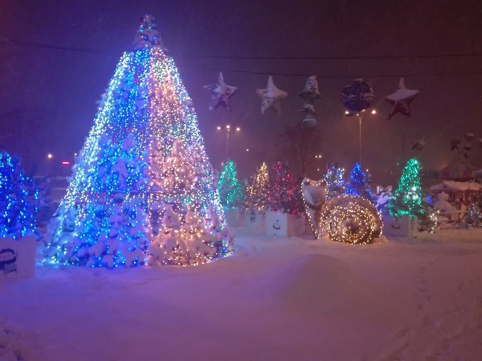 Новогодняя елка на Дарынке