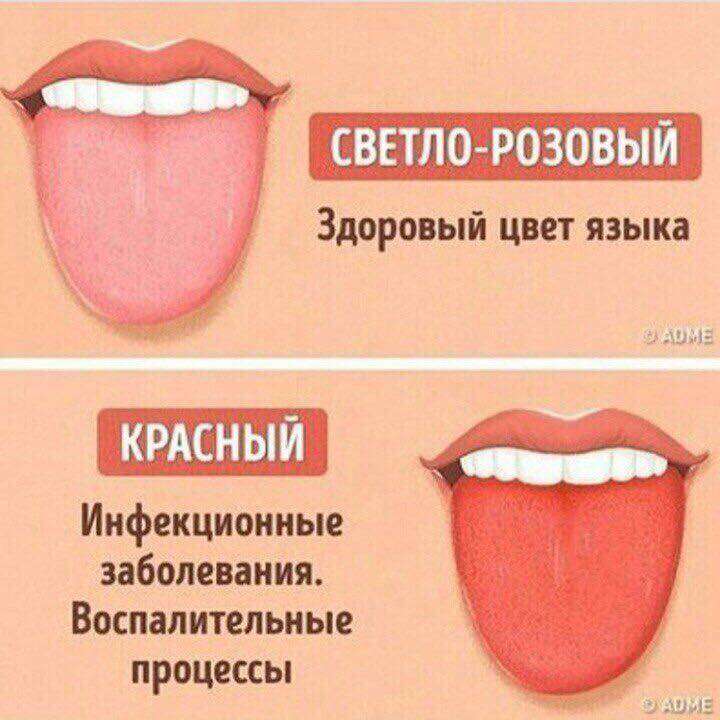 ​Рожевий і червоний язик