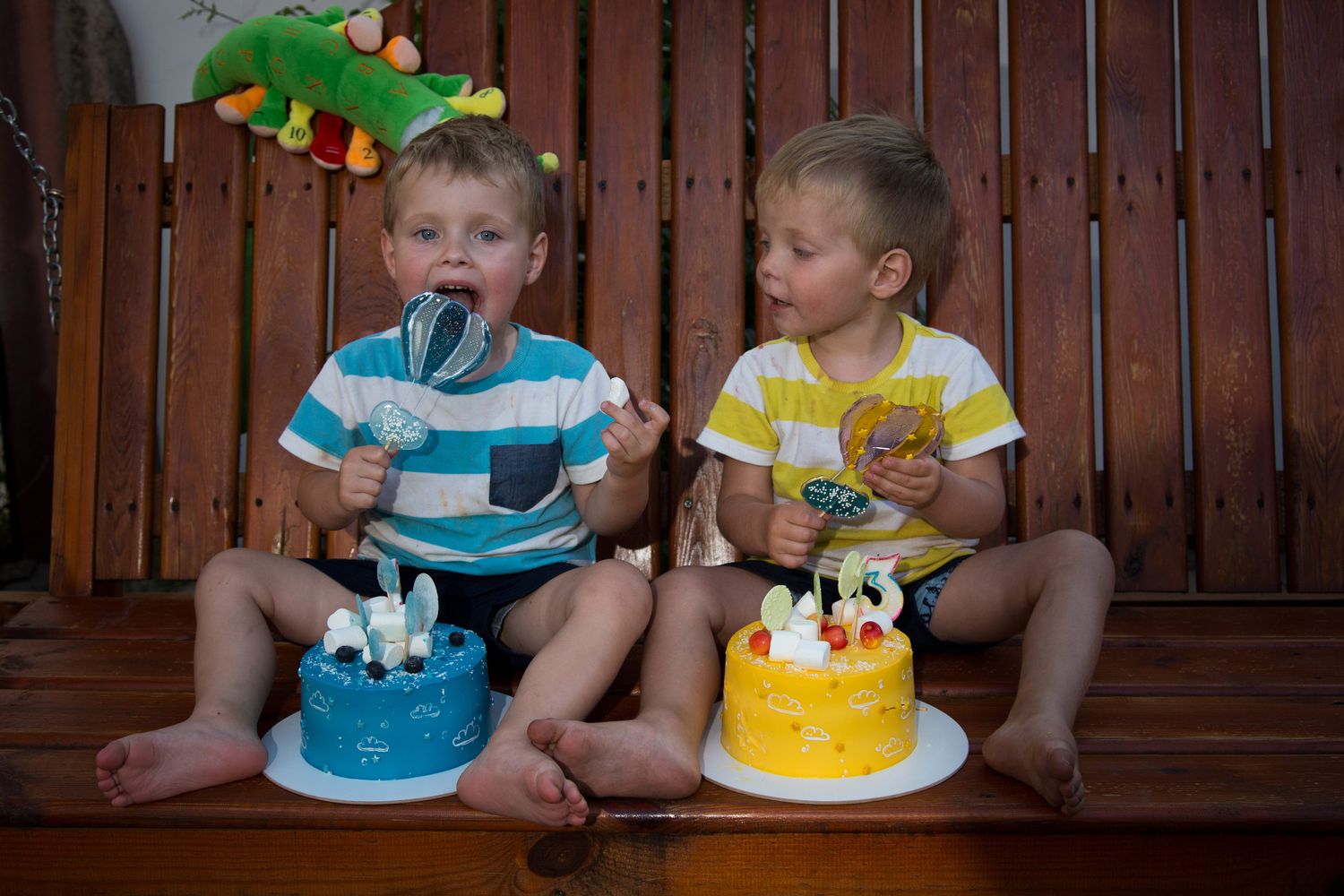 Двойня Терещенко празднуют день рождения