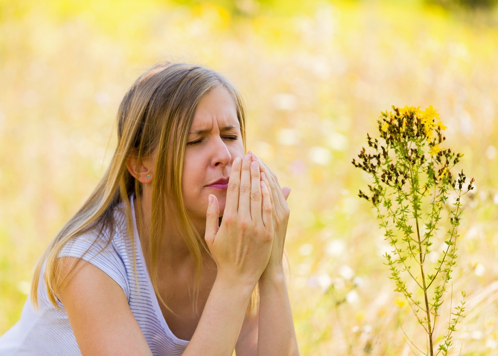 Аллергия на пыльцу расстения