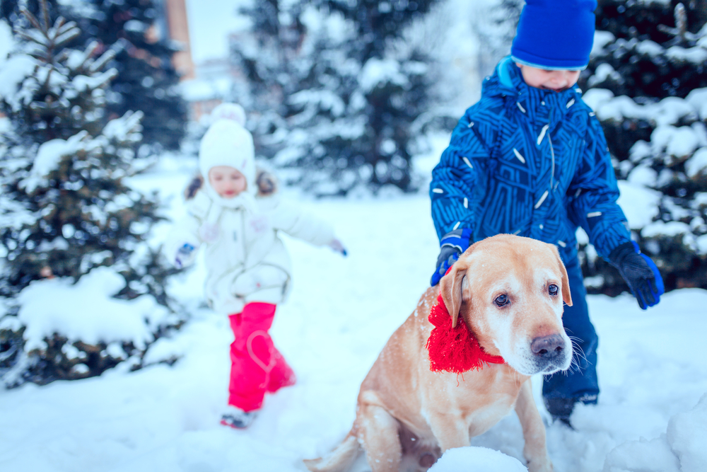 Ребенок и собака на прогулке зимой