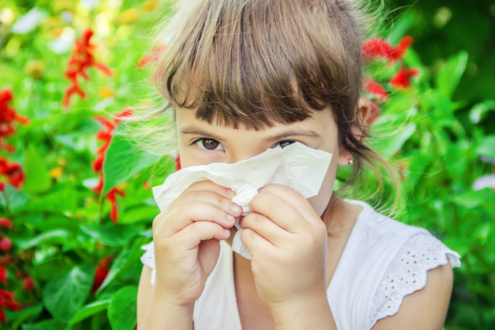 аллергия на цветение у ребенка фото