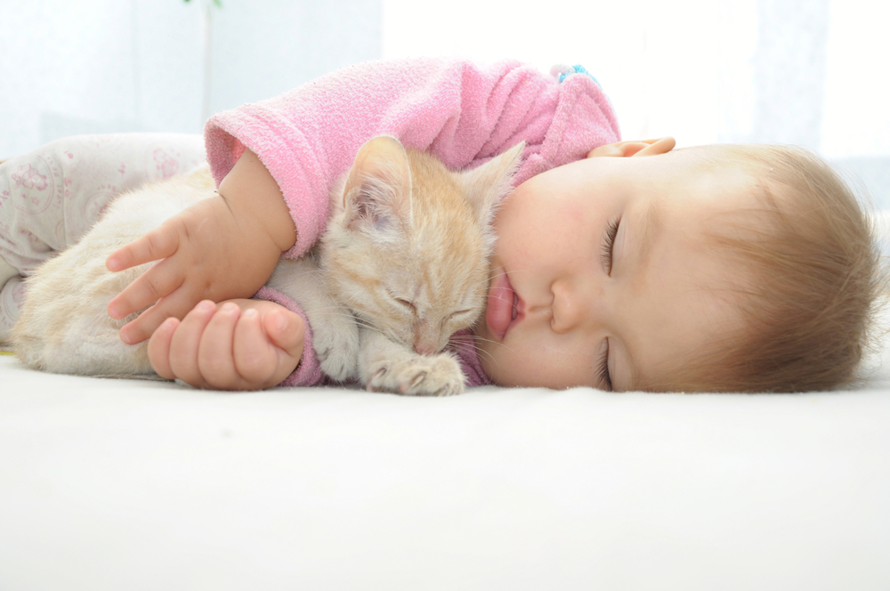 девочка спит с котенком