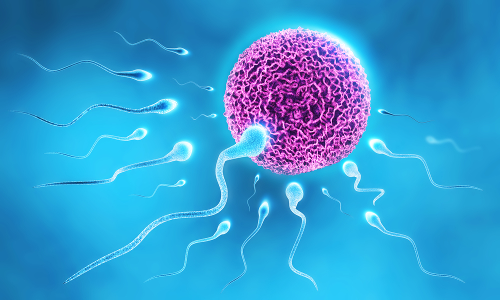 Сперматозоиды и зачатие после 45 лет