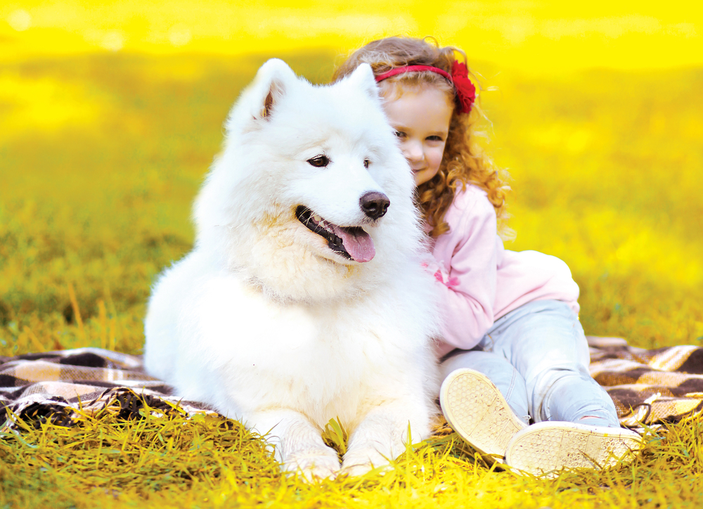 Девочка и большой белый пес