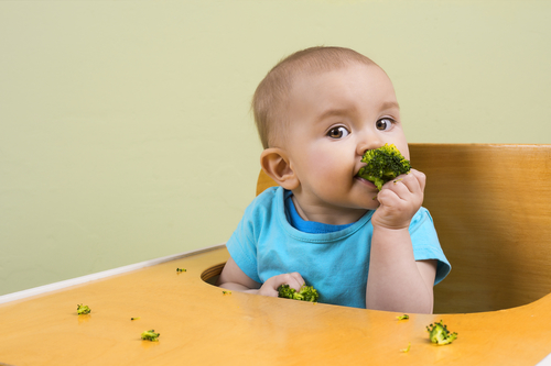 Ребенок ест брокколи
