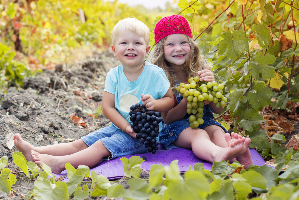 Дети едят виноград