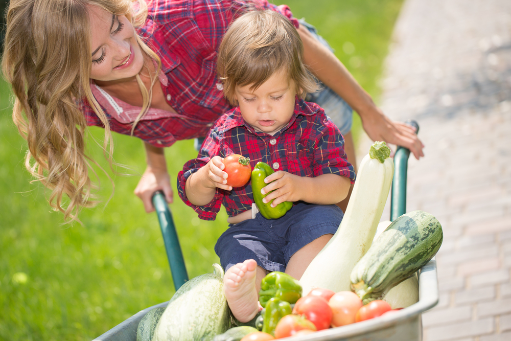 Ребенок держит овощи