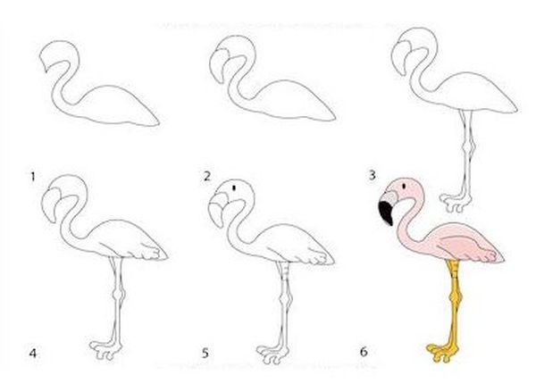 Фламинго нарисовать пошагово