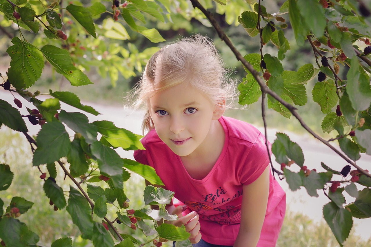  Чем шелковица полезна детям: 5 ценных свойств ягоды 