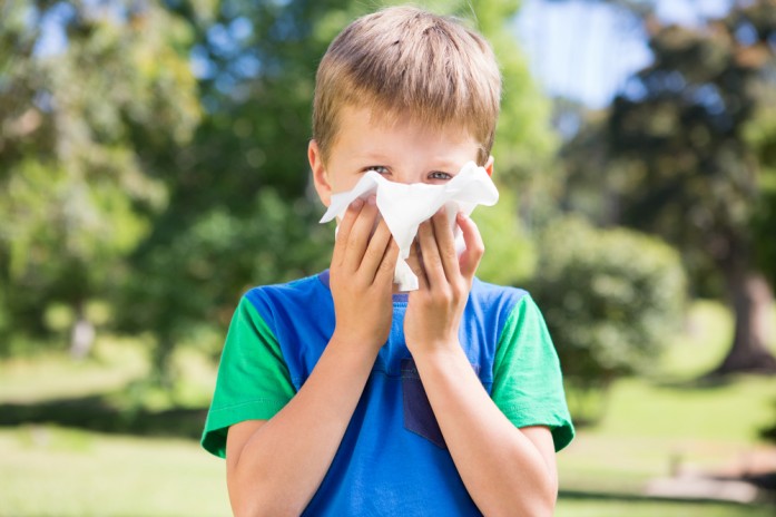 Сезонная аллергия в августе на амброзию