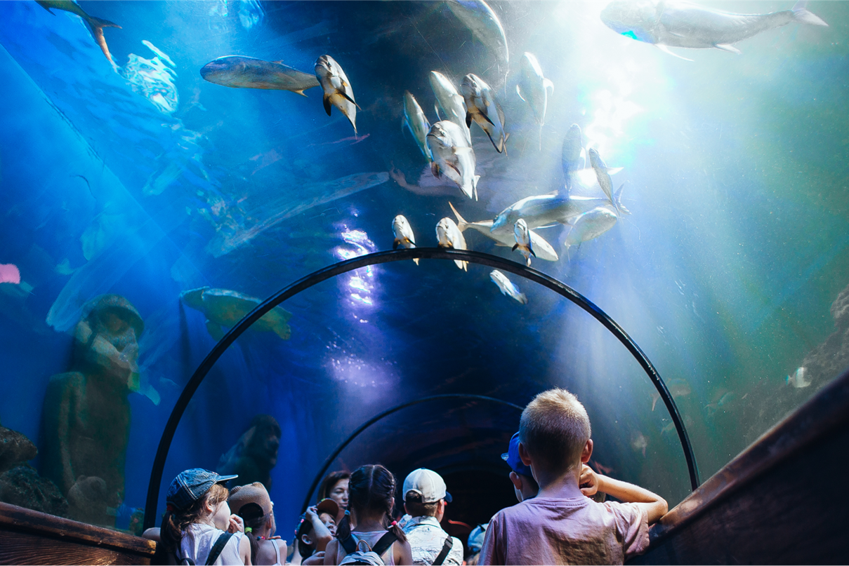 океанаріум