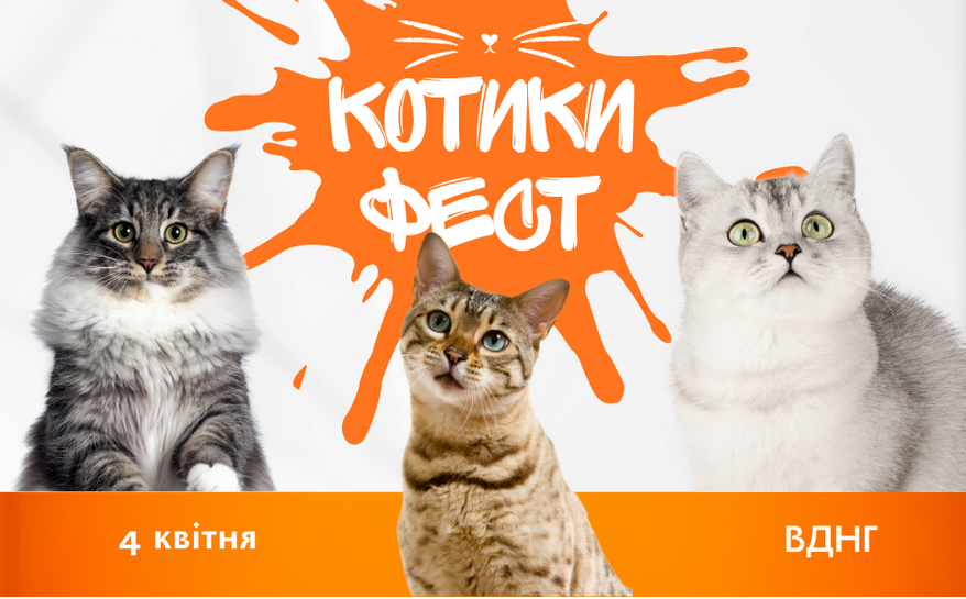 Фестиваль Котики Фест