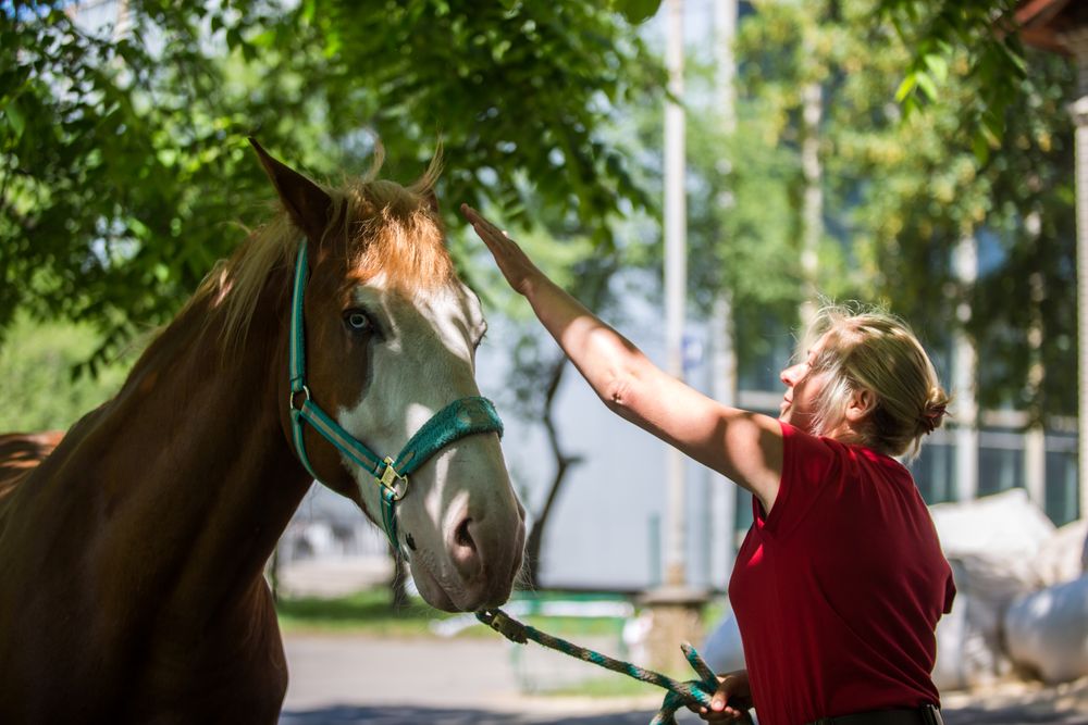 Экскурсия на конный завод