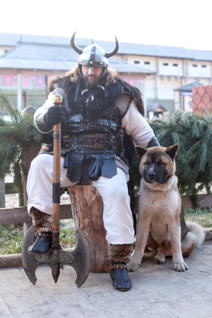 Собаки в парке Киевская Русь
