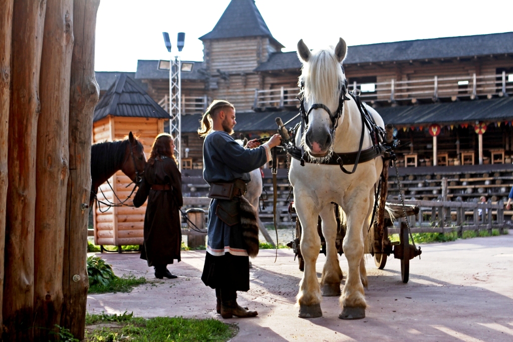 Коні в парку Київська Русь