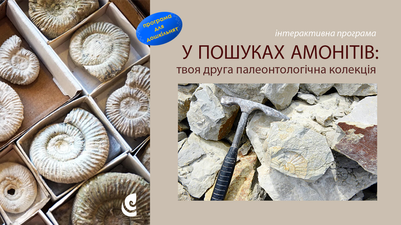 У пошуках амонитів