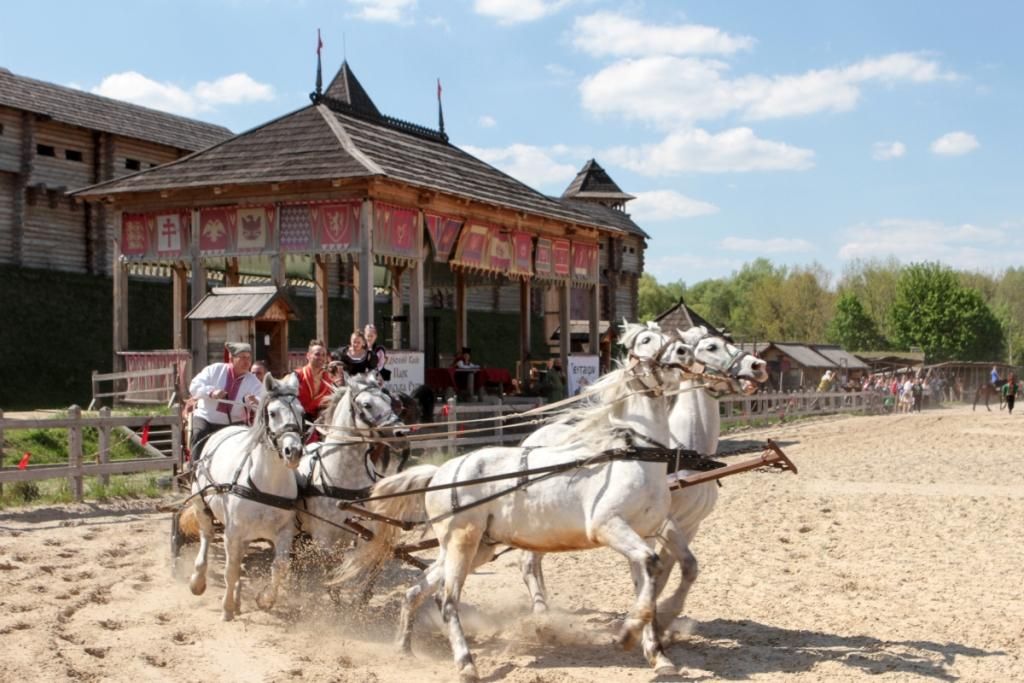 Лошади в Парке Киевская Русь