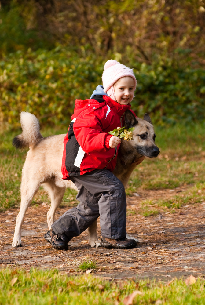 Ребенок гуляет с собакой
