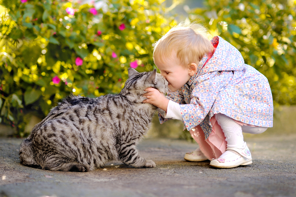 Девочка целует кошку