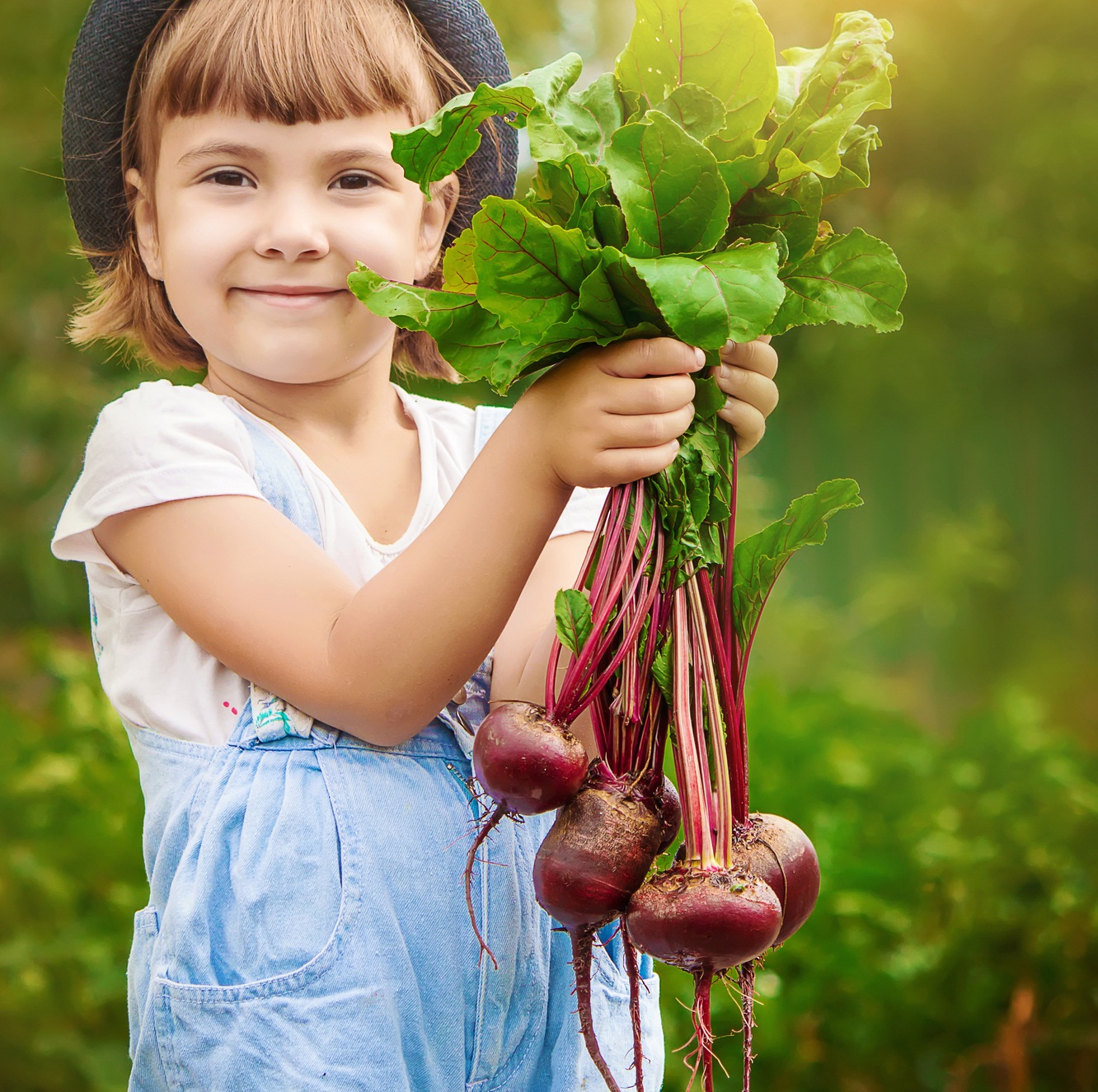 Доставать урожай. Сбор урожая. Овощи в саду. Овощи для детей. Сбор овощей.