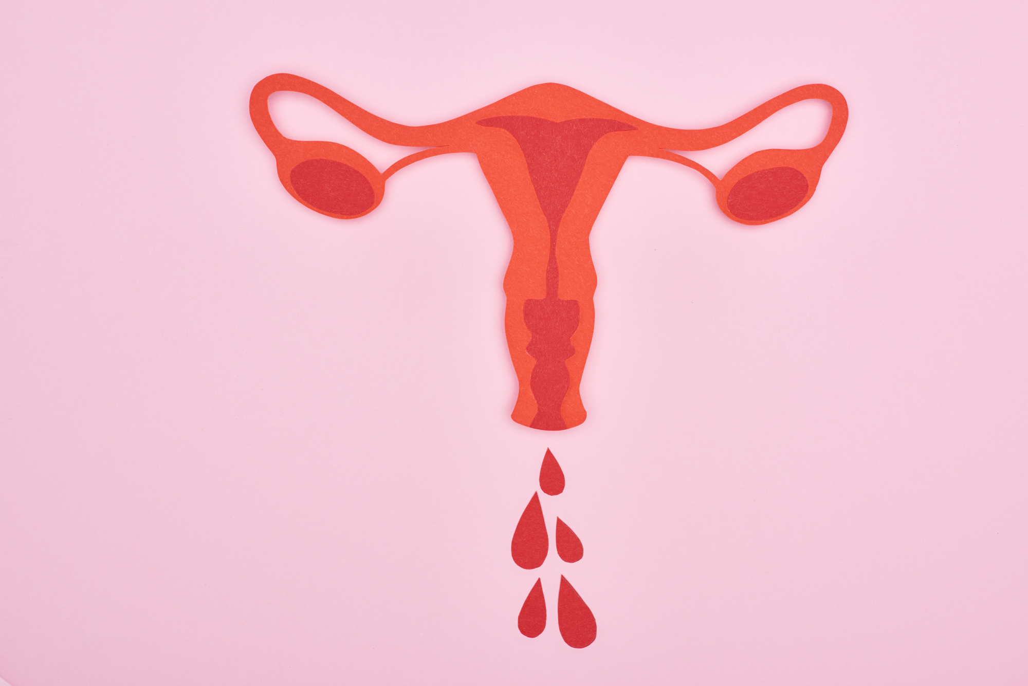 10 женских органов. Мультяшная менструация. Вырезанные женские органы. Розовая кровь менструационного цикла. Кровь вне менструационного цикла.