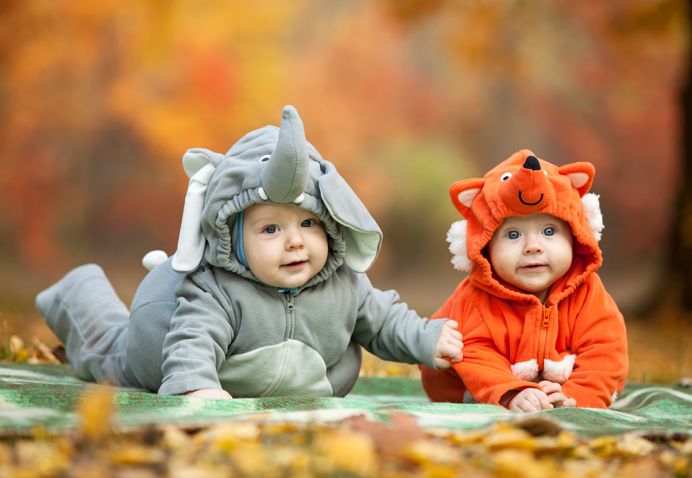 Дети в костюмах слоника и лиса 