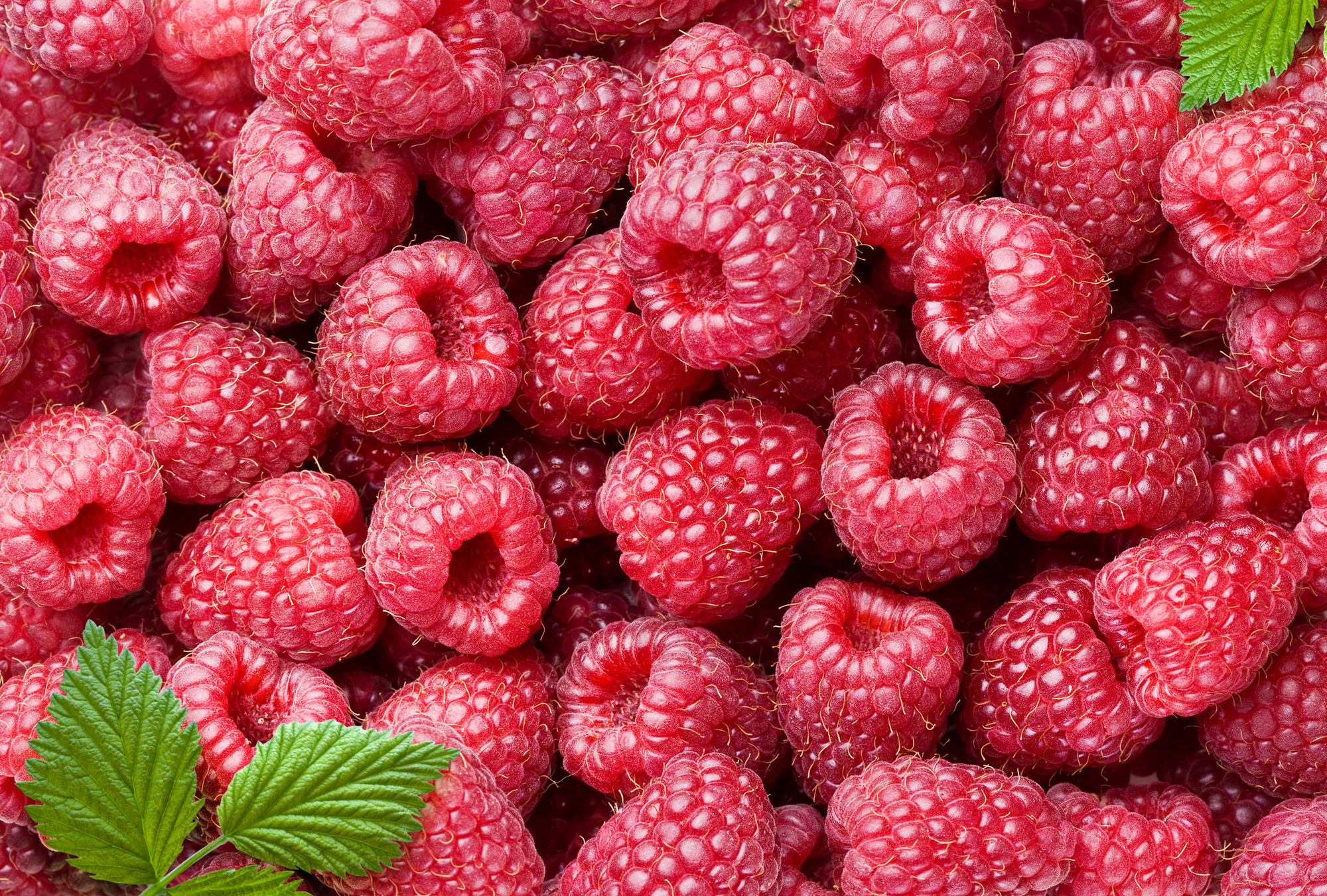 Малина