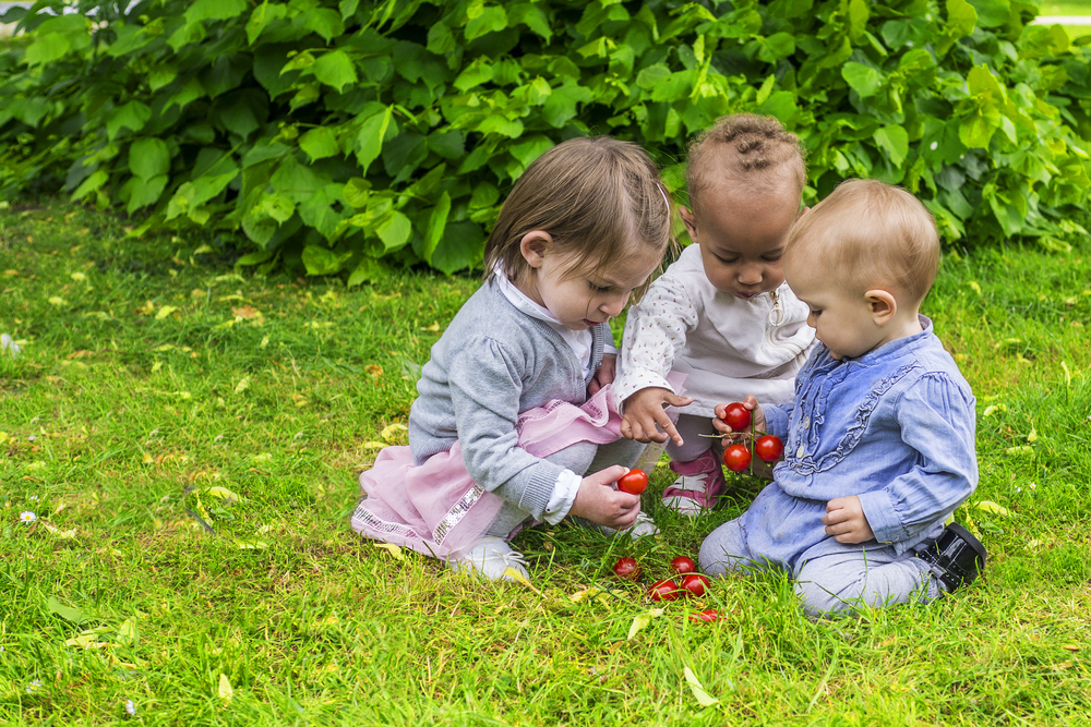 Дети с вишнями