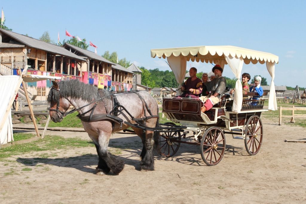Катание на лошадях в Парке Киевская Русь