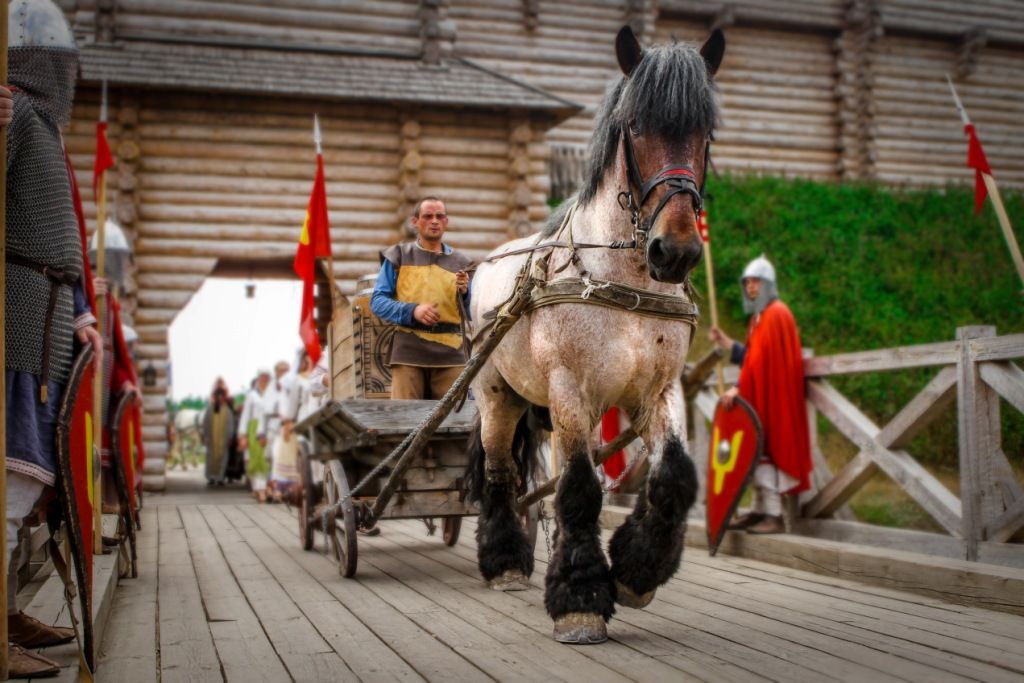 Катання на конях у Парку Київська Русь