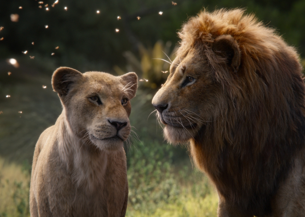 король лев 2019 кадр из фильма