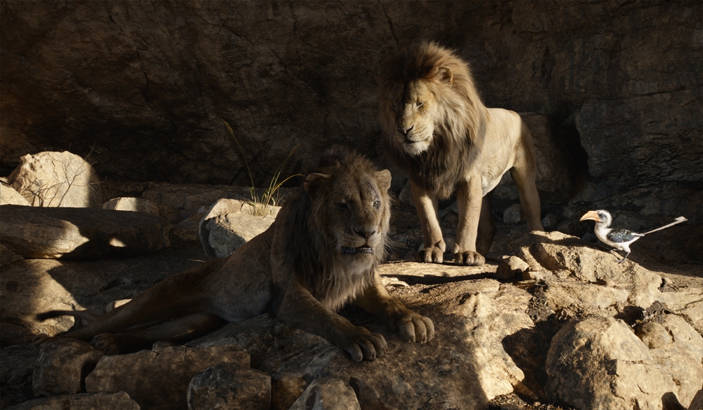 король лев 2019 кадр из фильма