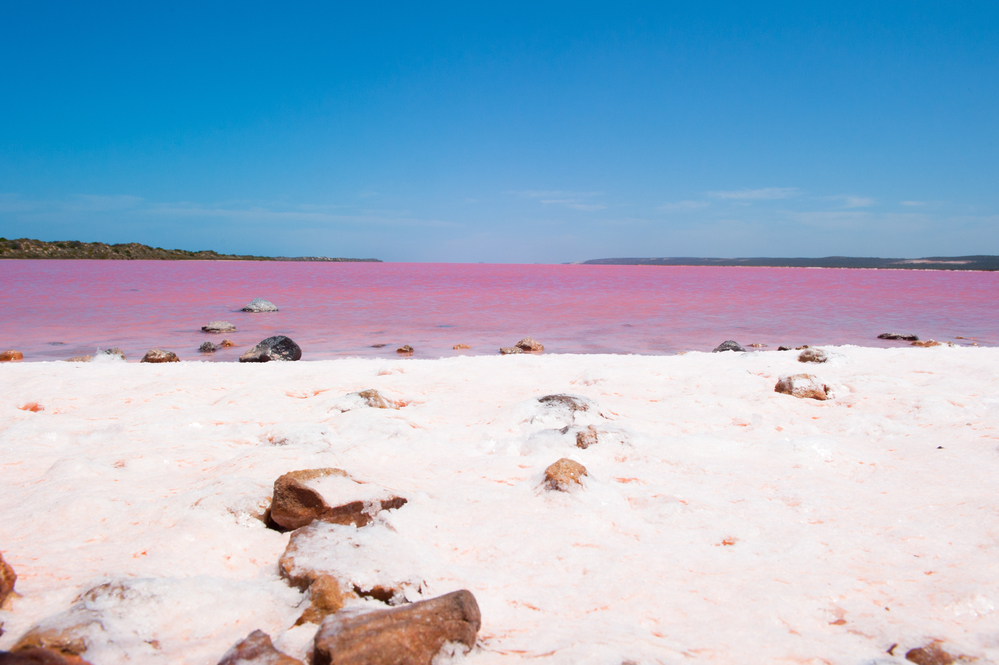 Розовые озера в Австралии