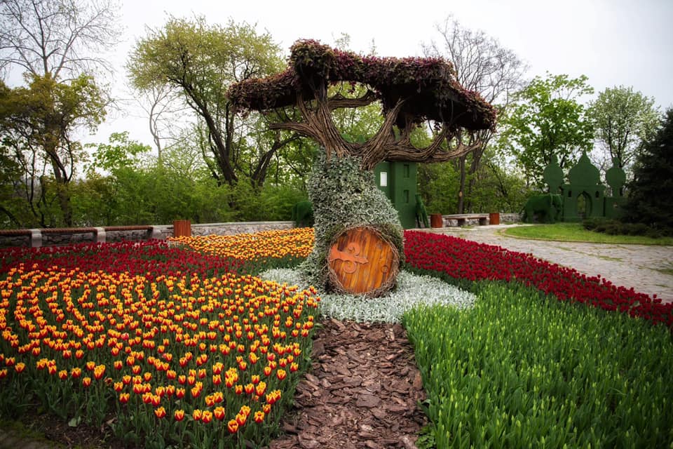 Выставка тюльпанов на певческом поле